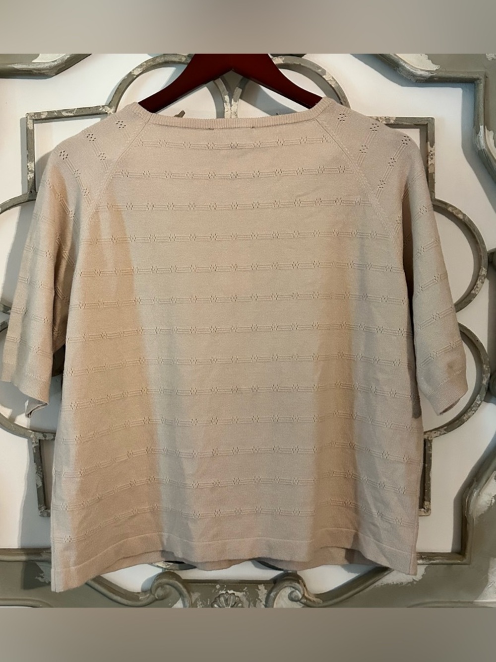 NWT Adrianna Papell Beige Short Sleeve Knit Top Size XL - Picture 2 of 8